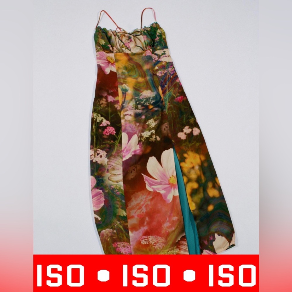 ISO - IN SEARCH OF, DO NOT PURCHASE! Urban Outfitters April Tie Back Midi Dress